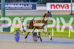 2025_PACEPIX_GP05092025_RACE2_CopyCatQueen_WIN_WEB-29