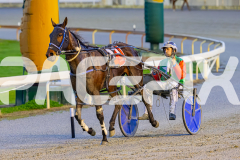 2025_PACEPIX_GP05092025_RACE2_CopyCatQueen_WIN_WEB-31