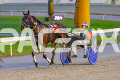 2025_PACEPIX_GP05092025_RACE2_CopyCatQueen_WIN_WEB-32
