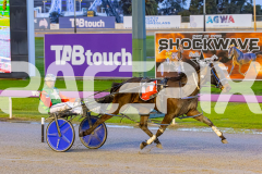 2025_PACEPIX_GP05092025_RACE2_CopyCatQueen_WIN_WEB-6