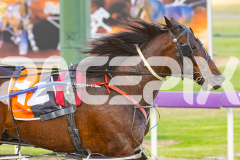 2025_PACEPIX_GP07112025_Race2_Cordero_WIN_WEB-11