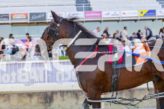 2025_PACEPIX_GP07112025_Race2_Cordero_WIN_WEB-18