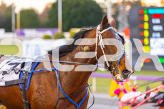 2025_PACEPIX_GP12092025_Race2_DMac_WIN_WEB-14