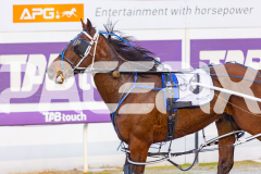 2025_PACEPIX_GP12092025_Race2_DMac_WIN_WEB-16