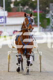2025_PACEPIX_GP12092025_Race2_DMac_WIN_WEB-18