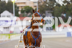 2025_PACEPIX_GP12092025_Race2_DMac_WIN_WEB-19