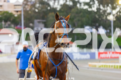 2025_PACEPIX_GP12092025_Race2_DMac_WIN_WEB-22