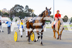 2025_PACEPIX_GP12092025_Race2_DMac_WIN_WEB-23