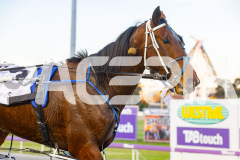 2025_PACEPIX_GP12092025_Race2_DMac_WIN_WEB-24