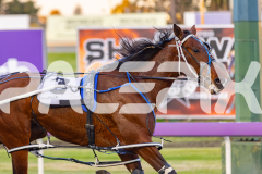 2025_PACEPIX_GP12092025_Race2_DMac_WIN_WEB-5