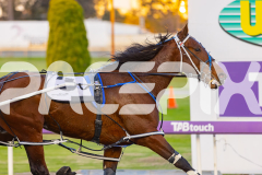 2025_PACEPIX_GP12092025_Race2_DMac_WIN_WEB-6