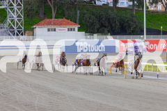 2025_PACEPIX_GP12092025_Race2_DMac_WIN_WEB-7