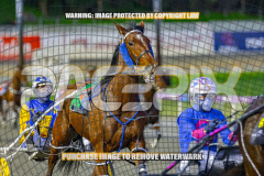 2026_Pacepix_GP14082026_Race2_DMac_WIN_WEB-1