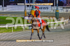 2026_Pacepix_GP14082026_Race2_DMac_WIN_WEB-16