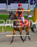 2026_Pacepix_GP14082026_Race2_DMac_WIN_WEB-17