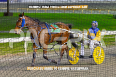 2026_Pacepix_GP14082026_Race2_DMac_WIN_WEB-18