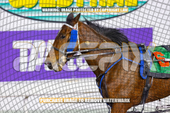 2026_Pacepix_GP14082026_Race2_DMac_WIN_WEB-19