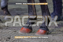 2026_Pacepix_GP14082026_Race2_DMac_WIN_WEB-22