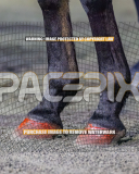 2026_Pacepix_GP14082026_Race2_DMac_WIN_WEB-23