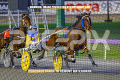 2026_Pacepix_GP14082026_Race2_DMac_WIN_WEB-3