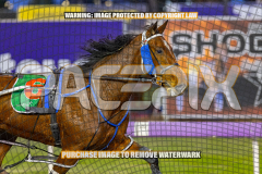 2026_Pacepix_GP14082026_Race2_DMac_WIN_WEB-4