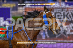 2026_Pacepix_GP14082026_Race2_DMac_WIN_WEB-6
