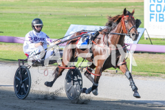 Dat-Lovely_24-03-2026_WIN_Gloucester-Park_2__04