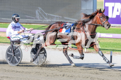 Dat-Lovely_24-03-2026_WIN_Gloucester-Park_2__06