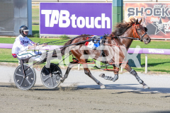 Dat-Lovely_24-03-2026_WIN_Gloucester-Park_2__07