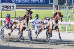 Dat-Lovely_24-03-2026_WIN_Gloucester-Park_2__10