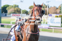 Dat-Lovely_24-03-2026_WIN_Gloucester-Park_2__11