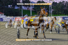 2026_Pacepix_GP21082026_Race2_DelightfulPeg_WIN_WEB-1