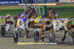 2026_Pacepix_GP21082026_Race2_DelightfulPeg_WIN_WEB-13
