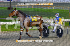 2026_Pacepix_GP21082026_Race2_DelightfulPeg_WIN_WEB-15