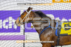 2026_Pacepix_GP21082026_Race2_DelightfulPeg_WIN_WEB-16