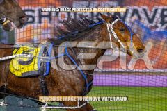 2026_Pacepix_GP21082026_Race2_DelightfulPeg_WIN_WEB-7