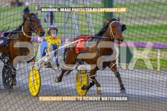 RACE 2 - Delightful Peg