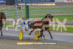 2026_PACEPIX_GP30102026_RACE2_DelightfulPeg_WIN_WEB-15