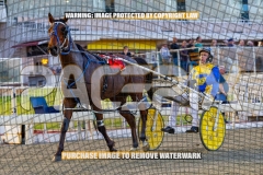 2026_PACEPIX_GP30102026_RACE2_DelightfulPeg_WIN_WEB-26