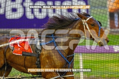 2026_PACEPIX_GP30102026_RACE2_DelightfulPeg_WIN_WEB-5