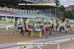 2026_PACEPIX_GP30102026_RACE2_DelightfulPeg_WIN_WEB-6