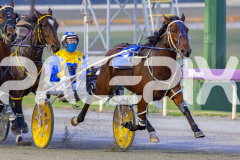 RACE 2 - Delightful Peg
