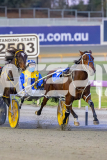 2026_PACEPIX_GP10042026_RACE2_DelightfulPeg_WIN_WEB-15
