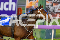 2026_PACEPIX_GP10042026_RACE2_DelightfulPeg_WIN_WEB-18