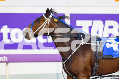 2026_PACEPIX_GP10042026_RACE2_DelightfulPeg_WIN_WEB-20