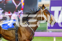 2026_PACEPIX_GP10042026_RACE2_DelightfulPeg_WIN_WEB-7