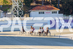 2025_PACEPIX_GP11112025_RACE2_Delulu_WIN_WEB-1