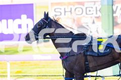 2025_PACEPIX_GP11112025_RACE2_Delulu_WIN_WEB-12