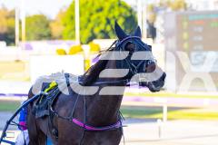 2025_PACEPIX_GP11112025_RACE2_Delulu_WIN_WEB-13