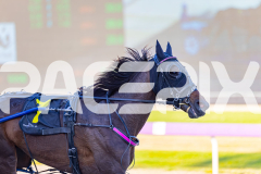 2025_PACEPIX_GP11112025_RACE2_Delulu_WIN_WEB-9